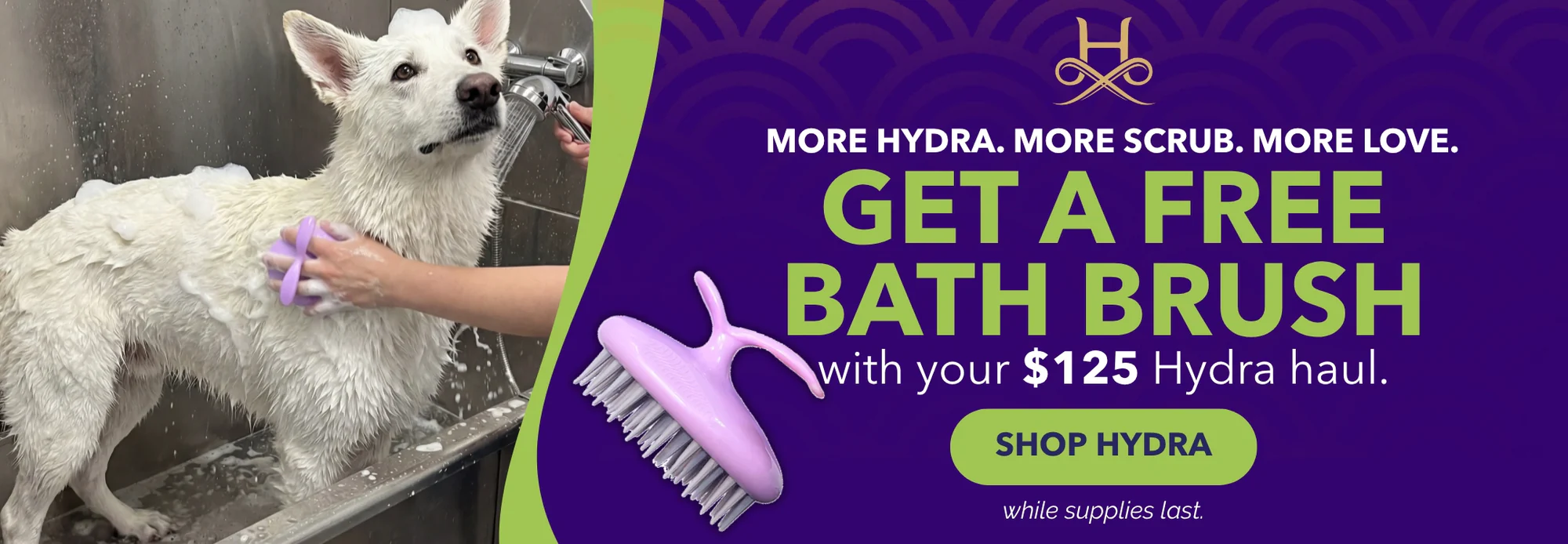 Runway Ready Furry Friends